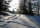 Schikurs Frauenalpe 2012